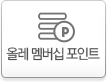 KT멤버십 포인트